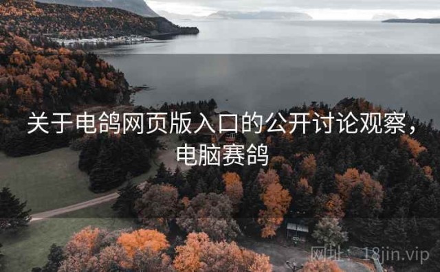 关于电鸽网页版入口的公开讨论观察，电脑赛鸽