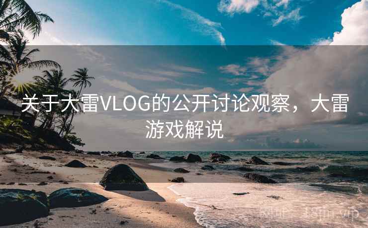 关于大雷VLOG的公开讨论观察，大雷游戏解说