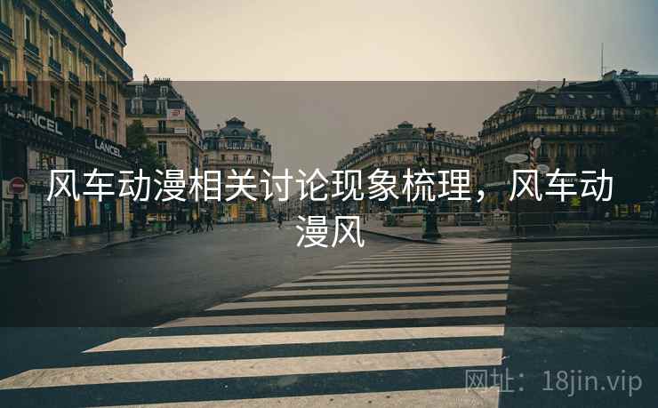 风车动漫相关讨论现象梳理，风车动漫风