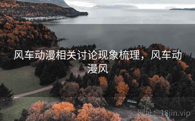 风车动漫相关讨论现象梳理，风车动漫风