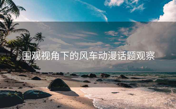 围观视角下的风车动漫话题观察
