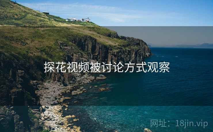 探花视频被讨论方式观察